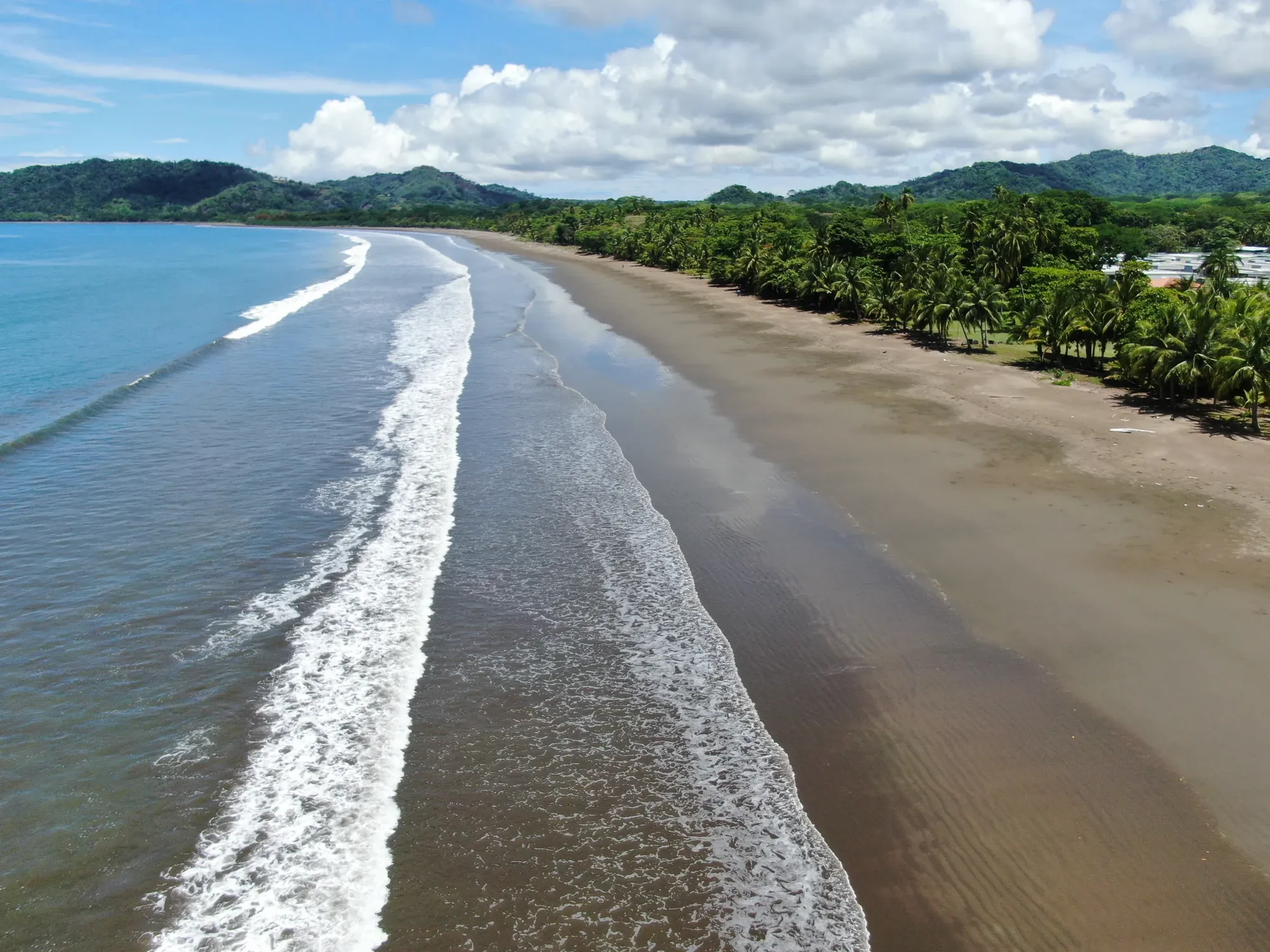 Aerial view of a long sandy beach lined with palm trees beside the Pacific at Bahía Garza, Guanacaste